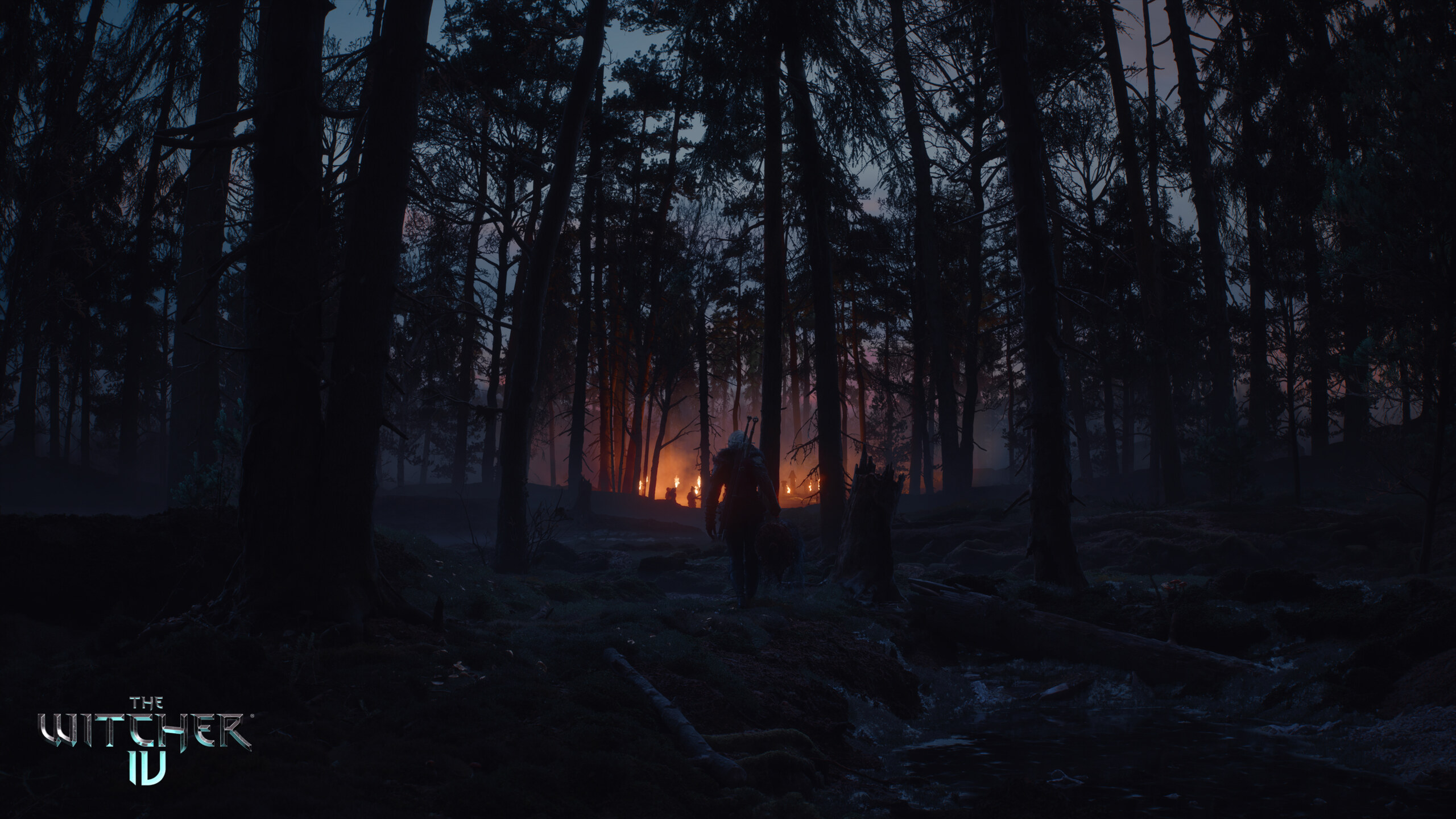 The Witcher IV: What Has Been Officially Confirmed